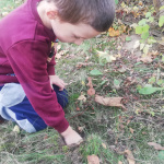 IMG_20231012_124355