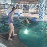 IMG-20240309-WA0010