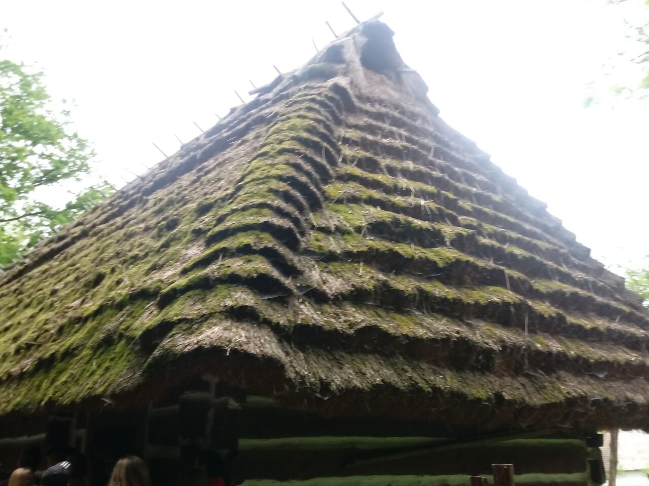 20190520_130749