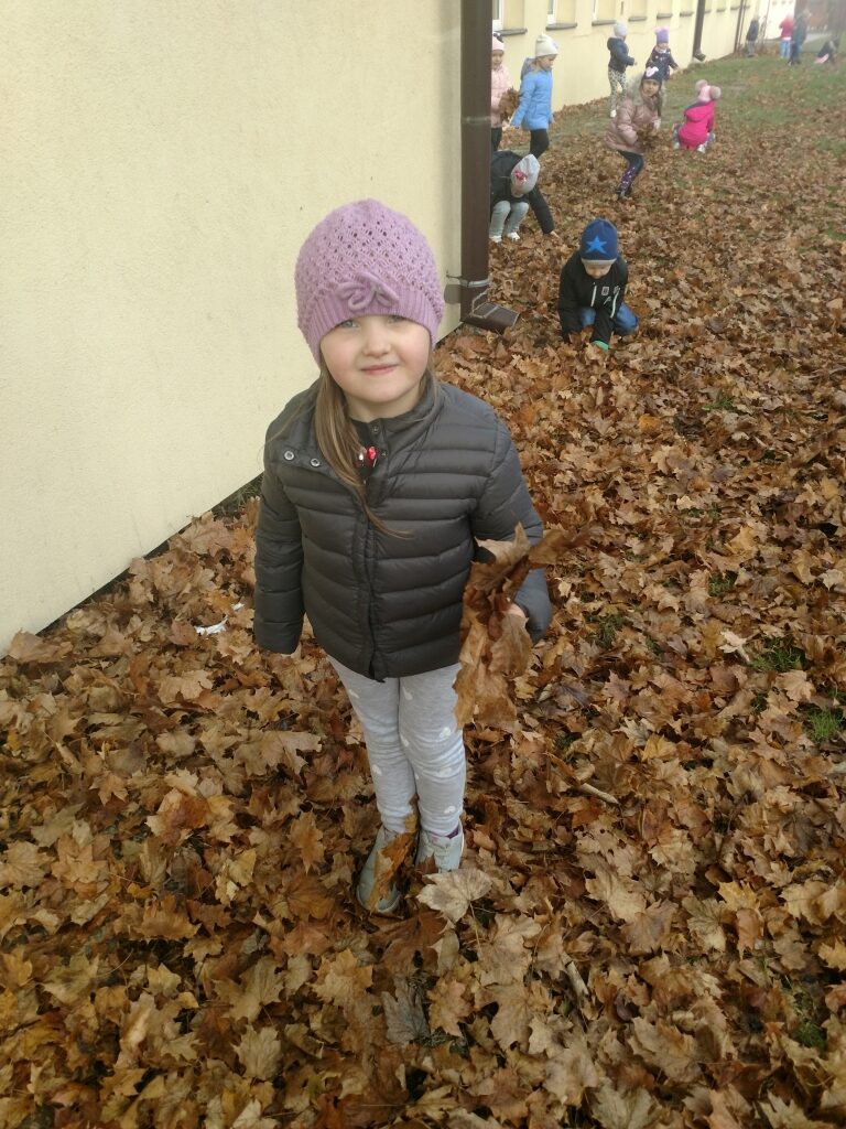 IMG_20191105_114516616