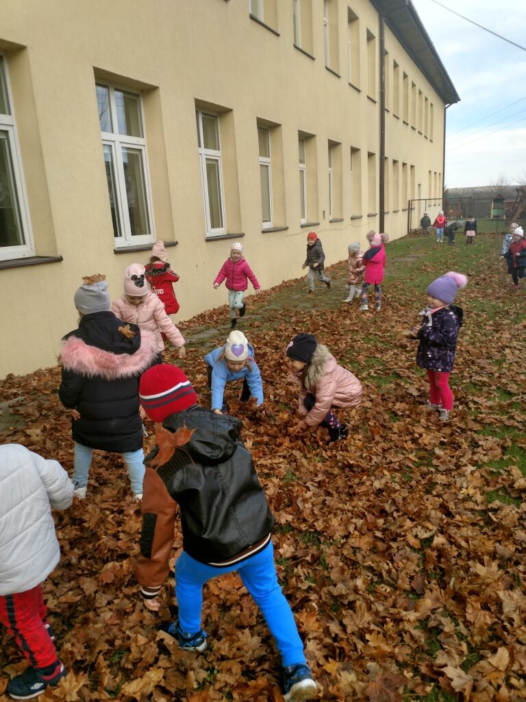 IMG_20191105_114523139_HDR