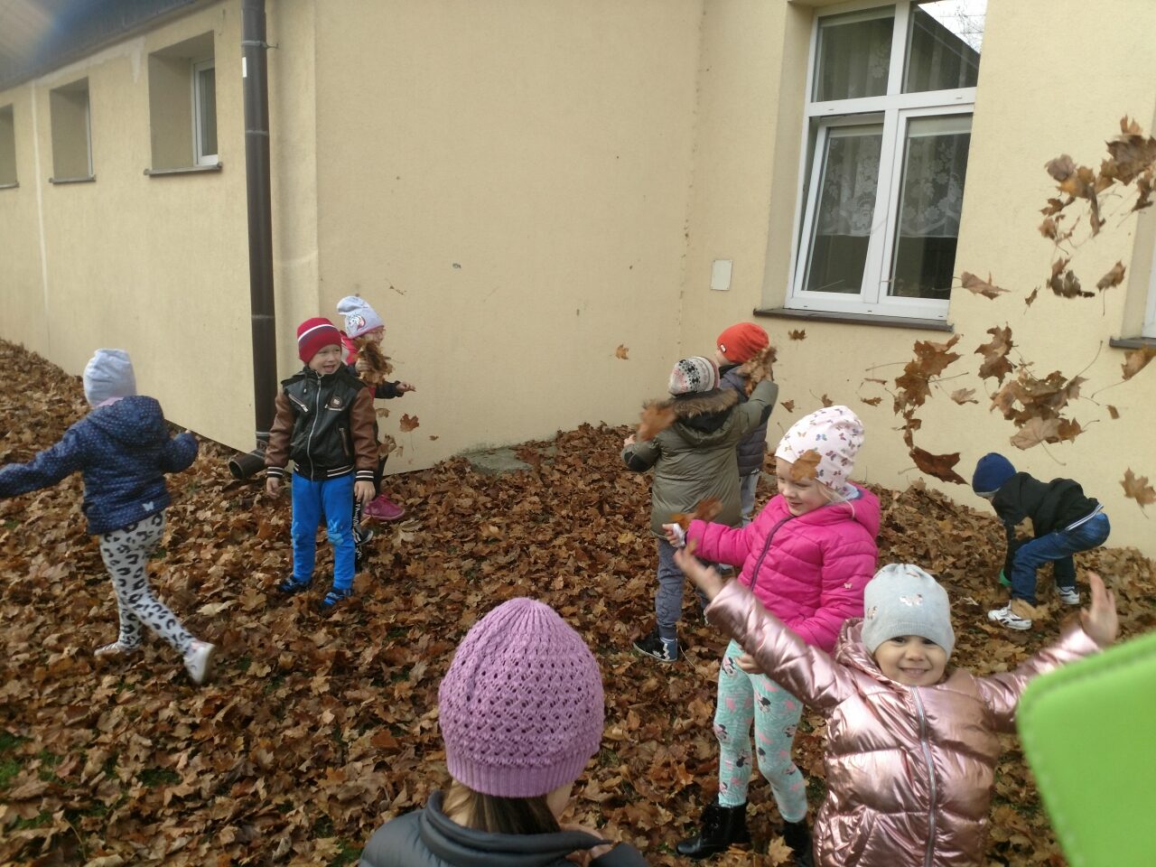 IMG_20191105_114643587