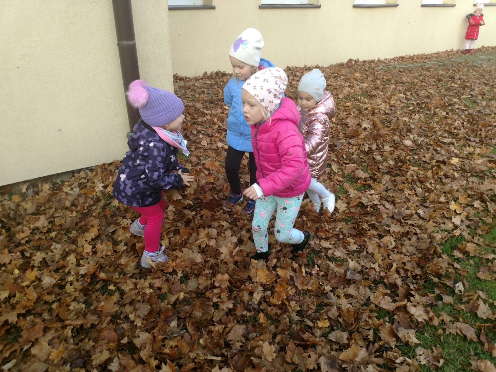 IMG_20191105_114906539
