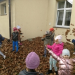 IMG_20191105_114643587