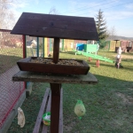 IMG_20210112_111017