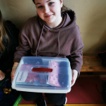 IMG_20230321_085732