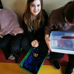 IMG_20230321_085734