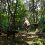IMG_20210601_103312