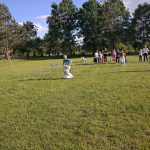 IMG_20220615_174554
