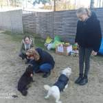 received_599383224477782