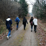IMG_20211112_115221
