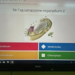 innowacja1