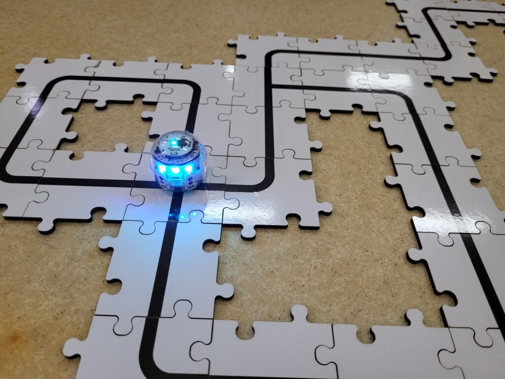 310919668_165497646075020_2093852312732814246_n-1