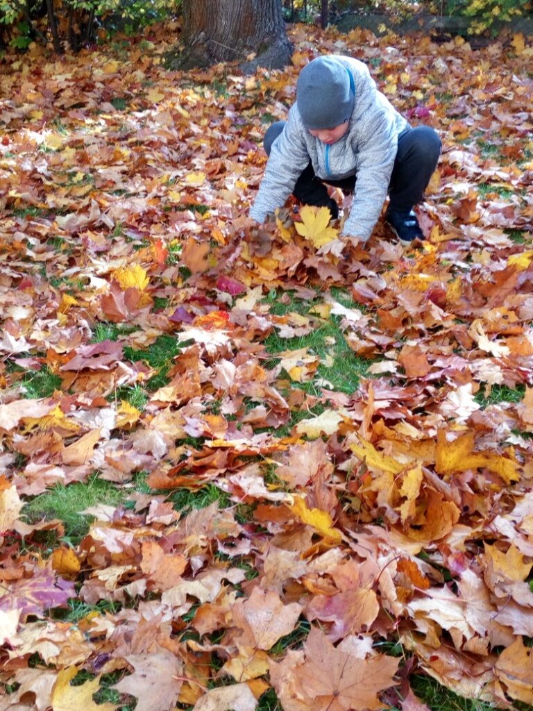 IMG_20221011_111542
