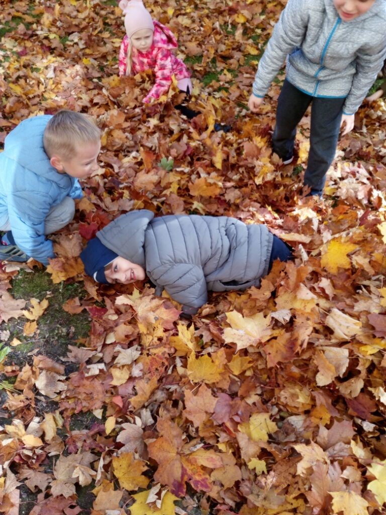 IMG_20221011_112226