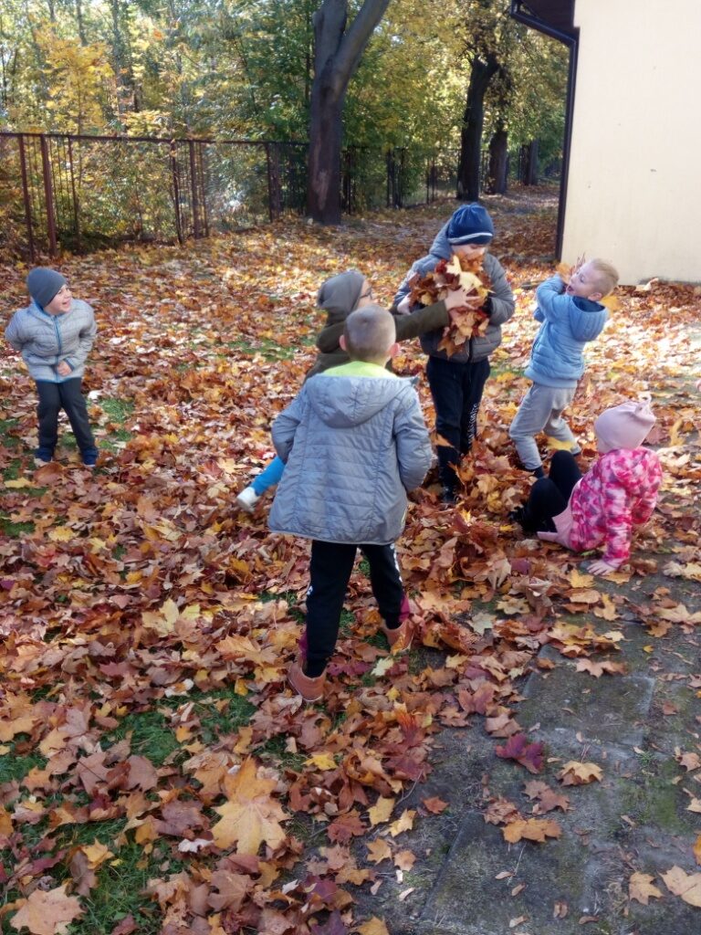 IMG_20221011_112313