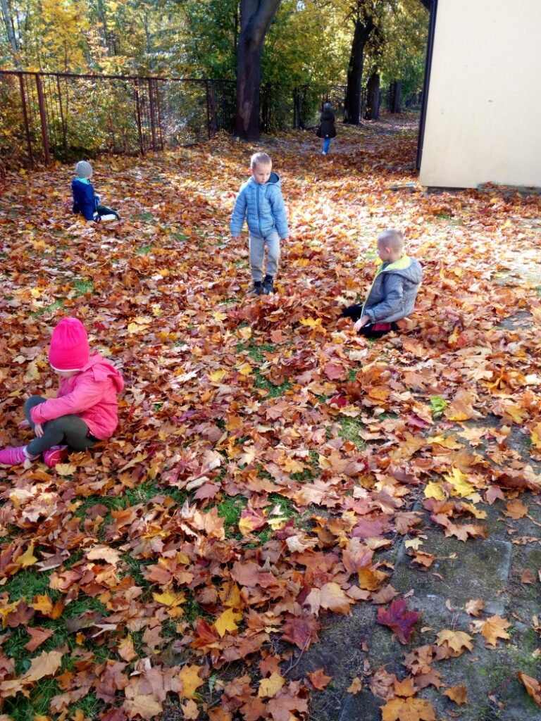 IMG_20221011_112940