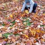 IMG_20221011_111542