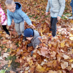 IMG_20221011_112233