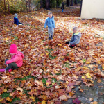 IMG_20221011_112940
