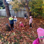 IMG_20221011_113311