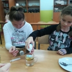 eksp19
