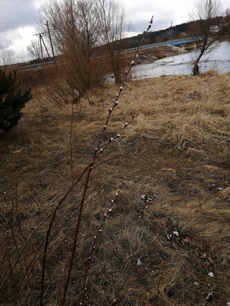 IMG_20210319_095516
