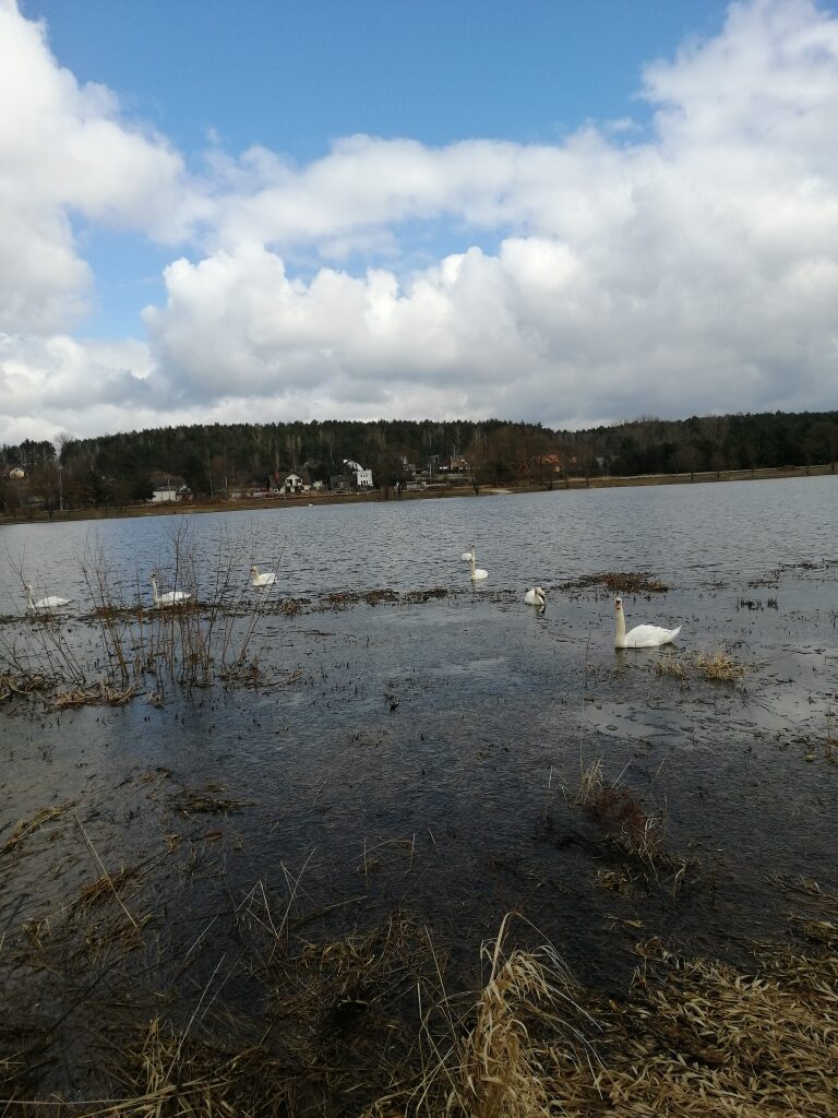 IMG_20210319_101202