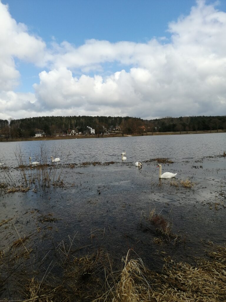 IMG_20210319_101204