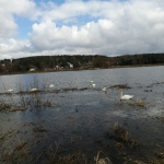 IMG_20210319_101202