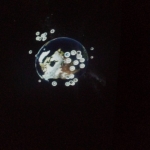 20190221_115827_Burst03