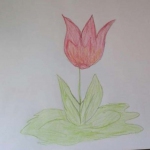received_220700229002417