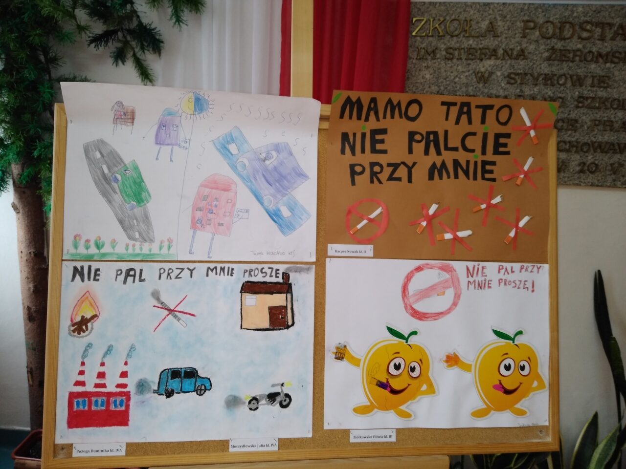 IMG_20190305_115237224