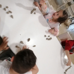 IMG_20220506_162558
