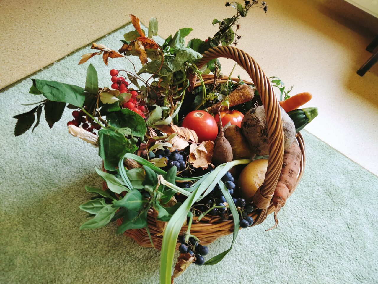 IMG20211006110139
