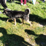 IMG_20230915_100935