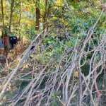 IMG-20241006-WA0070