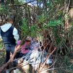 IMG-20241006-WA0079