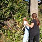 IMG-20241006-WA0081
