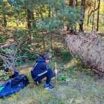 IMG-20241006-WA0082