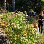 IMG-20241006-WA0084