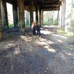 IMG-20241006-WA0087