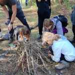 IMG-20241006-WA0137