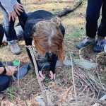 IMG-20241006-WA0142