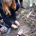 IMG-20241006-WA0145