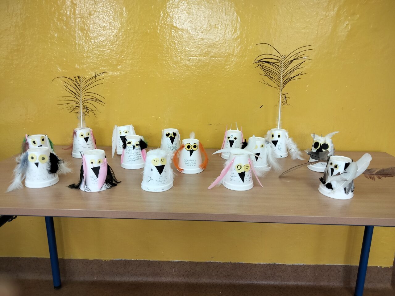 sowa2