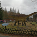 IMG_20211220_124509