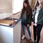 thumbs_20190320_131150