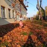 smartcapture