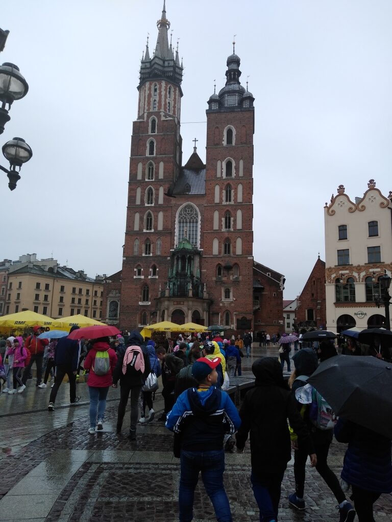 IMG_20190530_131749411